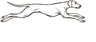 The Hunt